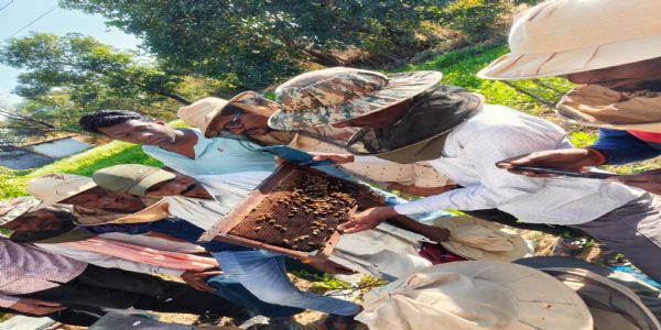 कोरबा जिला में मधुमक्खी पालन से खुला किसानों के आर्थिक समृद्धि का द्वार