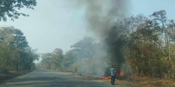 जंगलों को आग से बचाने वन विभाग की पहल हुई शुरू