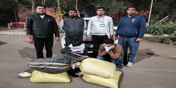 सिरसा: दो नशा तस्कर 29 किलो चूरापोस्त सहित गिरफ्तार