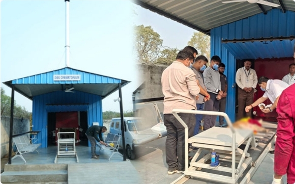 गुजरात का पहला आधुनिक ‘डॉग मुक्ति धाम’ शुरू