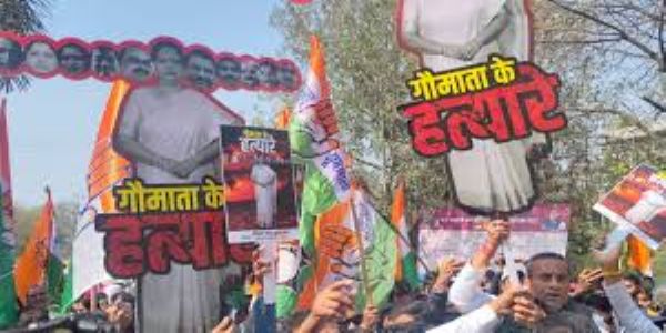 भोपाल में गोमांस और गंदे पानी को लेकर कांग्रेस का निगम दफ्तर पर घेराव, महापौर–एमआईसी का रावण रूपी पुतला फूंका