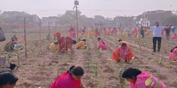 काशी नगरी ने रचा वैश्विक कीर्तिमान, रामनगर में ‘शहरी वन’ के लिए पौधरोपण कर चीन को पीछे छोड़ा