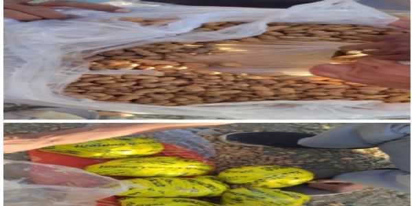 मूंगफली की बोरियों में छिपाकर ले जा रहे थे अफीम, 14.3 किलो बरामद