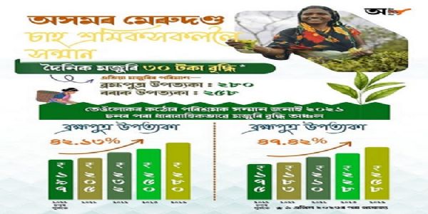 असम में चाय श्रमिकों की मजदूरी में 30 रुपये की बढ़ोतरी, आज से लागू