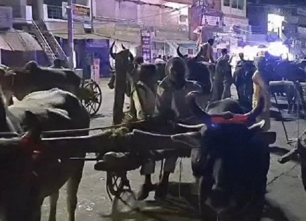 बैलगाड़ियों के साथ निकली अनोखी बारात