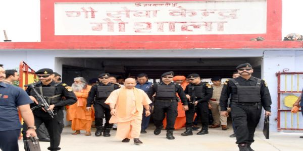 मुख्यमंत्री योगी आदित्यनाथ ने देवीपाटन मंदिर में किया दर्शन पूजन, गौवंशों को खिलाया हरा चारा