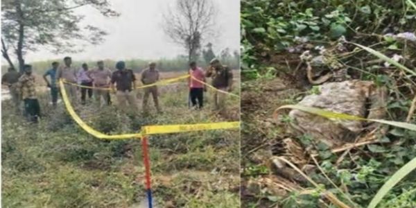 खेत में नरकंकाल मिलने से क्षेत्र में सनसनी, पुलिस जांच में जुटी