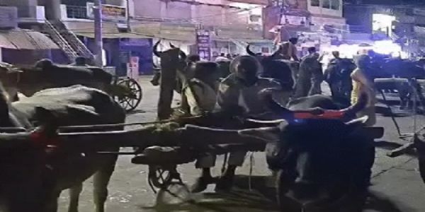 मप्र के पन्ना में बैलगाड़ियों पर निकली बारात, परंपरा और पर्यावरण बचाने का दिया संदेश