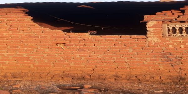 तीन हाथियों का आतंक: जैतहरी क्षेत्र में किसानों की फसलें बर्बाद, ग्रामीणों में बढ़ी नाराजगी