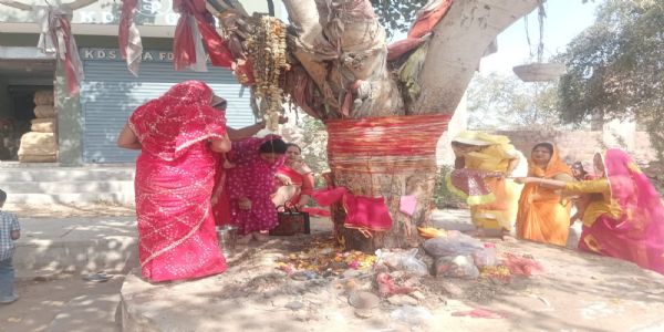 परंपरानुसार मनाया दशा माता का पर्व