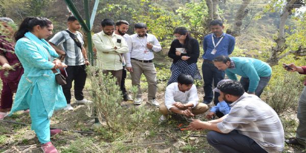 जड़ी-बूटी खेती पर कार्यशाला का समापन, समन्वयकों ने किया शैक्षणिक भ्रमण