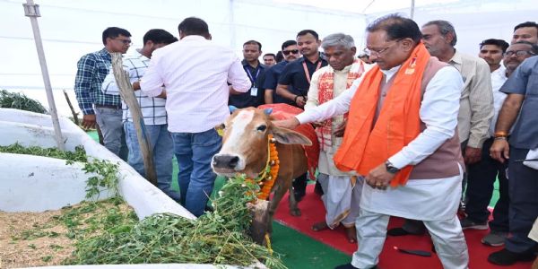 गोधन संरक्षण और गौसेवा को बढ़ावा देने छत्तीसगढ़ सरकार प्रतिबद्ध : मुख्यमंत्री साय