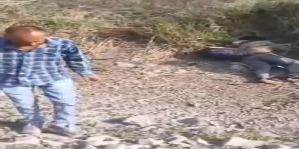 राजगढ़ः सड़क किनारे खाई में मिला बाइक सवार युवक का शव