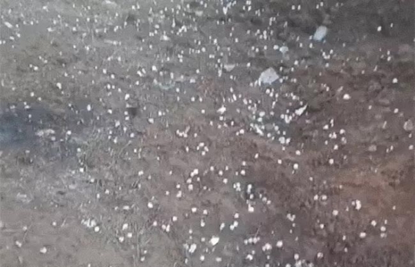 रेवाड़ी में गिरे ओलों का दृश्य। रेवाड़ी में गिरे ओलों का दृश्य।