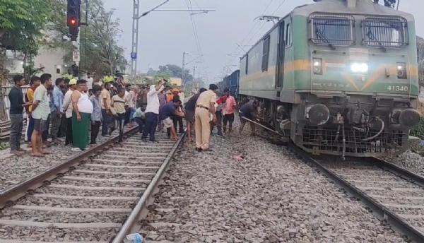 मवेशी निकालते कर्मचारी