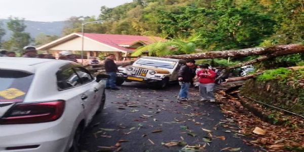 भारी बारिश और तूफान से जनधन को भारी नुकसान, पेड़ गिरने से एक महिला की मौत, चार घायल