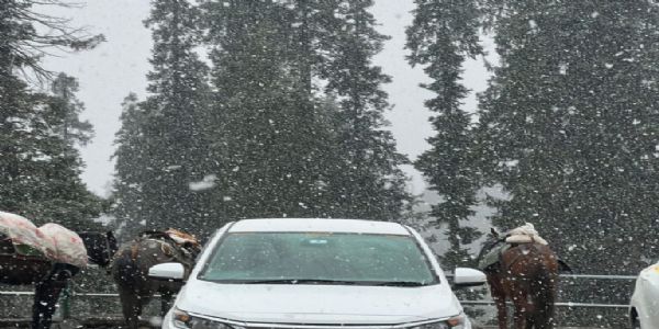 कश्मीर के ऊंचे इलाकों में ताजा बर्फबारी