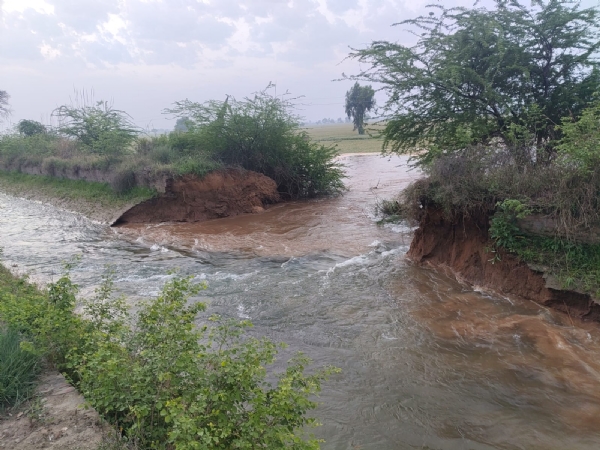 गांव दड़बा के पास टूटी शेरांवाली माइनर।