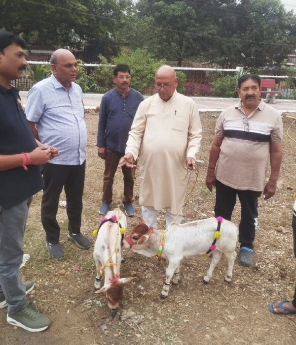 छोटी गाय के साथ विधायक सरयू राय छोटी गाय के साथ विधायक सरयू राय