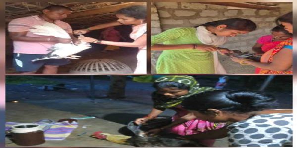 प्रशिक्षण के बाद बस्तर के गांवों में पशु सखियों ने संभाली कमान