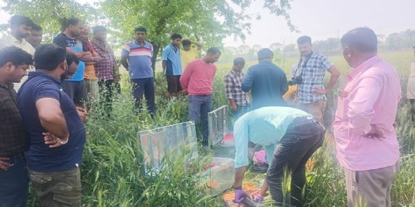 बगहा में 50 लाख रूपये की चोरी, पुलिस फोरेंसिक टीम के साथ जांच करने पहुंची