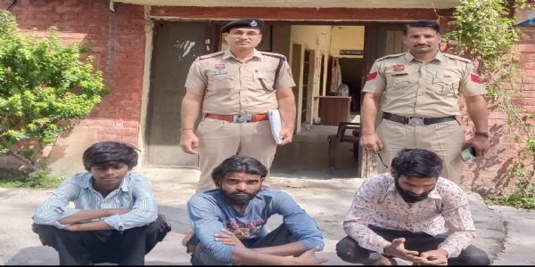 यमुनानगर:घर में घुसकर बिजली तारें चोरी करने वाले तीन आरोपी गिरफ्तार