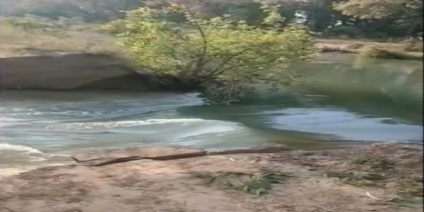 सिरसा: भाखड़ा मैन ब्रांच नहर टूटने से करीब 20 एकड़ फसल जलमग्न