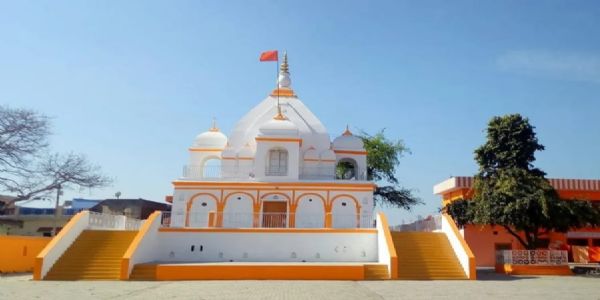 मुरादाबाद के लोदीपुर धाम में पांच साै साल का विशाल खेजड़ी वृक्ष लोगों की पूरी करता है मुरादें