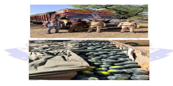 तरबूज की आड़ में मादक पदार्थ तस्करी का भंडाफोड़, 85 किलो डोडाचूरा जब्त, अंतर्राज्यीय तस्कर गिरफ्तार