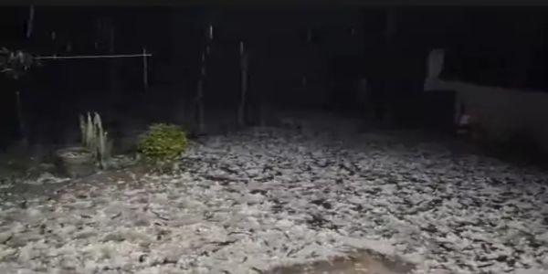 अंबिकापुर : मैनपाट में 20 मिनट की ओलावृष्टि से सफेद चादर, फसलें चौपट; तीन दिन तक बारिश-ओले का अलर्ट