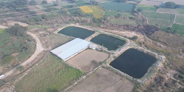 खेत-तालाब योजना से किसानों की बढ़ रही आय : आर.पी. कुशवाहा