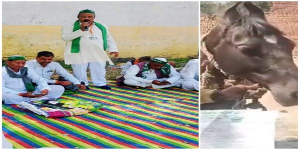 राजगढ़ः फसलों के दाम को लेकर किसानों का अनोखा प्रदर्शन, प्रशासनिक अनदेखी पर गधे को सौंपा ज्ञापन