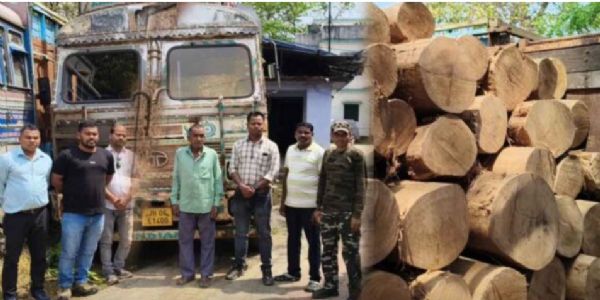 पश्चिमी सिंहभूम में अवैध साल लकड़ी से भरा 12 चक्का ट्रक जब्त