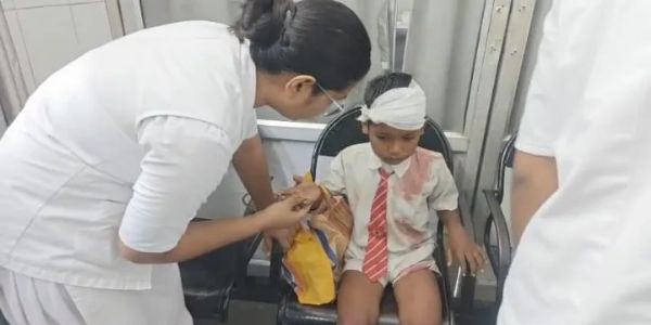 छत्तीसगढ़ के जांजगीर में स्कूली वैन पलटी, 10 बच्चे घायल