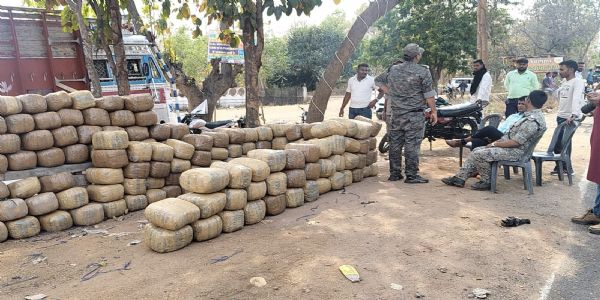 लातेहार में भारी मात्रा में अवैध गांजा बरामद