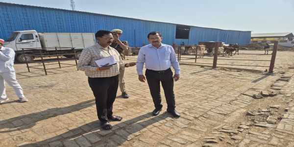 जिलाधिकारी ने चमारी गौशाला का किया निरीक्षण