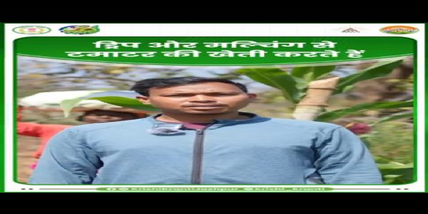 जशपुर : किसान मुकेश ने 25 एकड़ में रचा बहुफसली खेती का सफल मॉडल