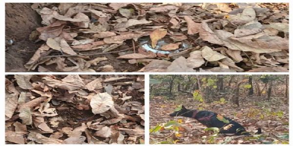 सुकमा : नक्सलियों द्वारा लगाए गए तीन आईईडी बरामद