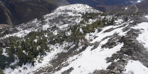 नेपाल : हिमालयी क्षेत्र में बर्फबारी, स्थानीय किसानों में खुशी