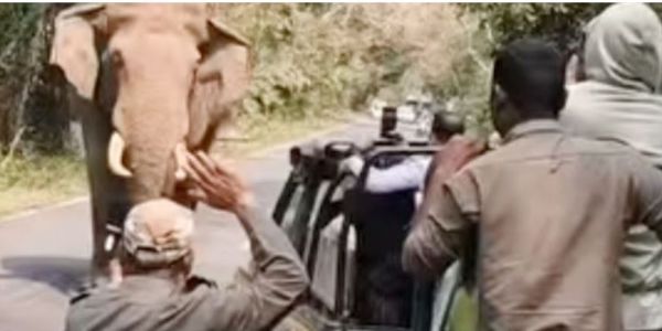 लाटागुड़ी जंगल सफारी में बढ़ा खतरा, नियम तोड़ने पर जिप्सी परमिट रद्द करने की चेतावनी