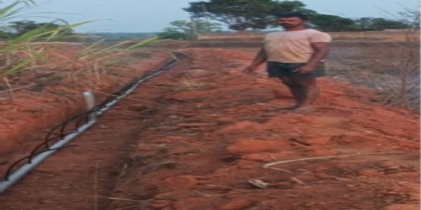 सूरजपुर : ड्रिप सिंचाई से बदली सोनगरा के किसानों की तस्वीर