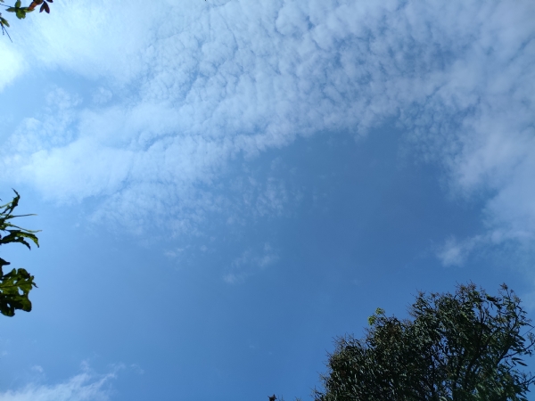 देहरादून मौसम।