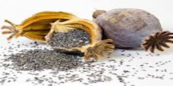 डीएसटी ग्रामीण ने स्वीफ्ट कार में पकड़ा अवैध डोडा पोस्त : तस्कर गिरफ्तार