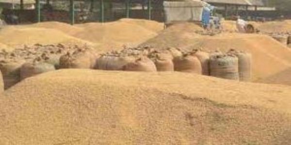 यूपी में लक्ष्य से अधिक धान खरीद, किसानों को 14,886 करोड़ रुपये का भुगतान