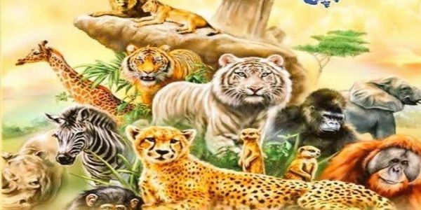 उपराष्ट्रपति, गृहमंत्री समेत कई नेताओं ने दी विश्व वन्यजीव दिवस की बधाई