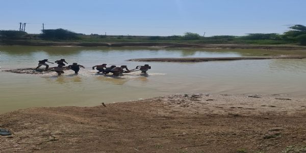 उज्जैन: तलाब में डूबने से दो किशोरों की मौत, एक घंटे में निकाले शव