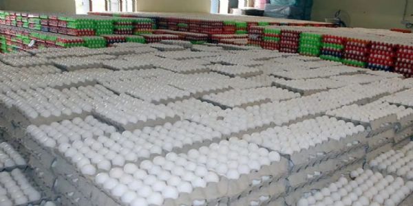 Egg file photo Egg file photo