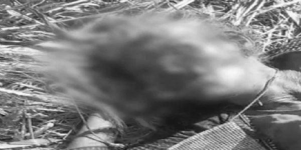 राजगढ़ः खेत में तड़पती मिली 65 वर्षीय महिला ने अस्पताल में तोड़ा दम, हत्या की आशंका