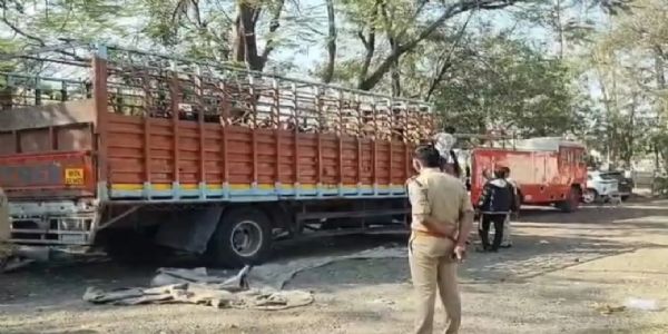 धामनोद में 30 गौवंश से भरा वाहन पकड़ा, चालक मौके से फरार