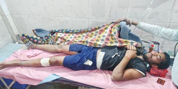 अनूपपुर: खेत में काम करते समय हाथी ने सूंड से पटका,घायल युवक भर्ती